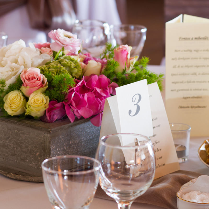 A zest for life blend </br> with fresh ideas