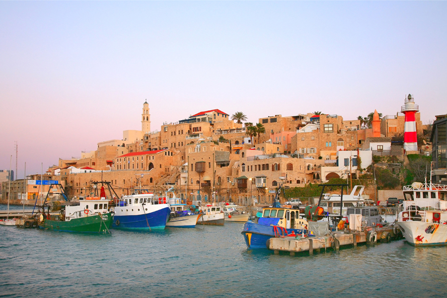 The magic is in the air, </br>a land flowing with milk & honey