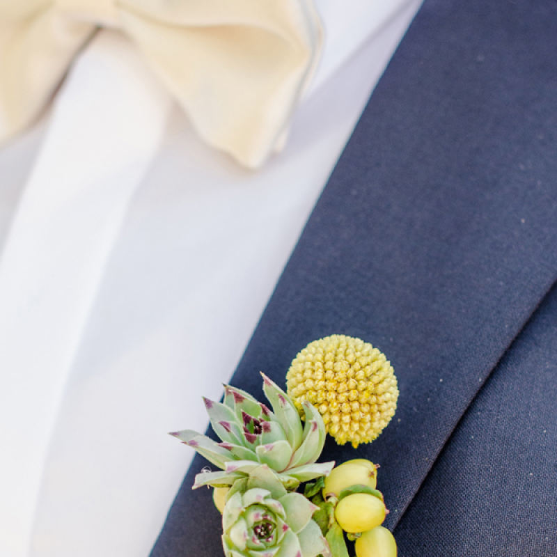 A lifetime of happiness